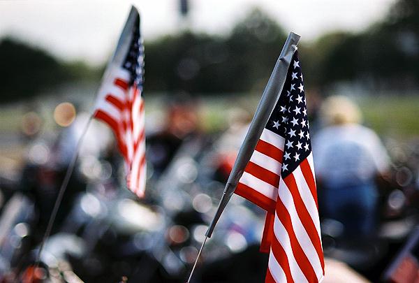 Bike Flags 