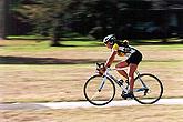  Bike Pan 