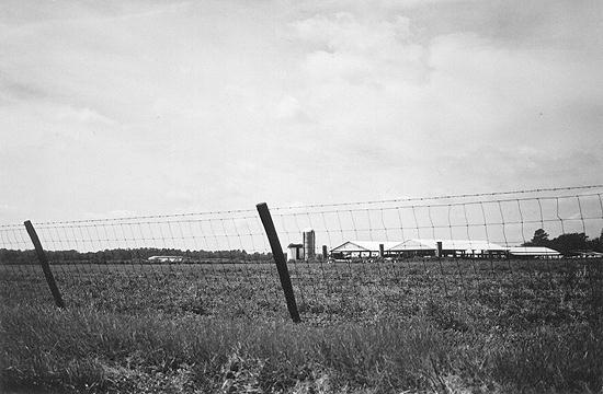  UF Dairy Farm 