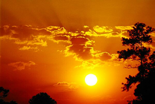  Florida Sunset 