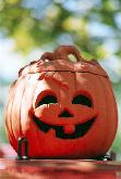  Happy Pumpkin 