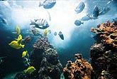  Maui Ocean Center 