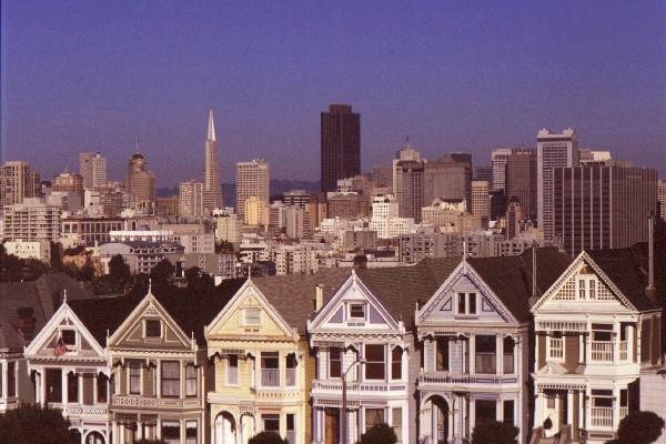  Painted Ladies 