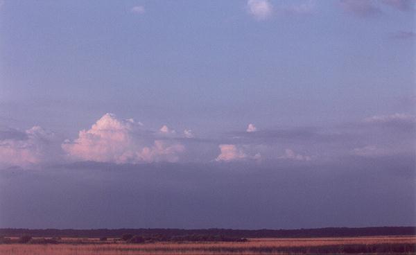  Paynes Prairie 