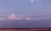  Paynes Prairie 
