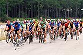  Peloton 