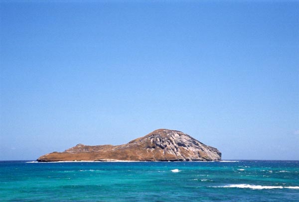  Rabbit Island 