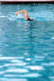 Swimmer 