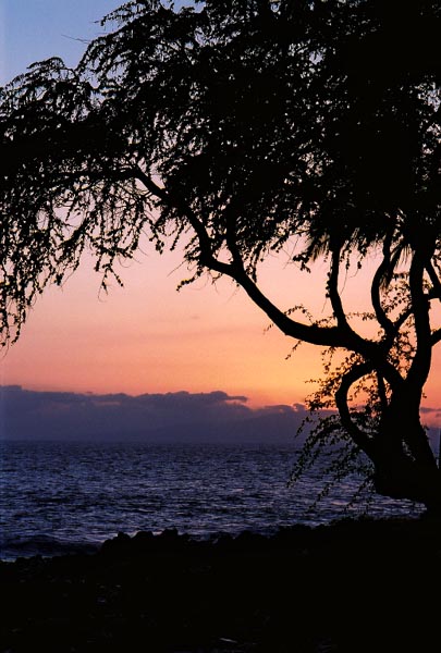  Wailea Sunset 